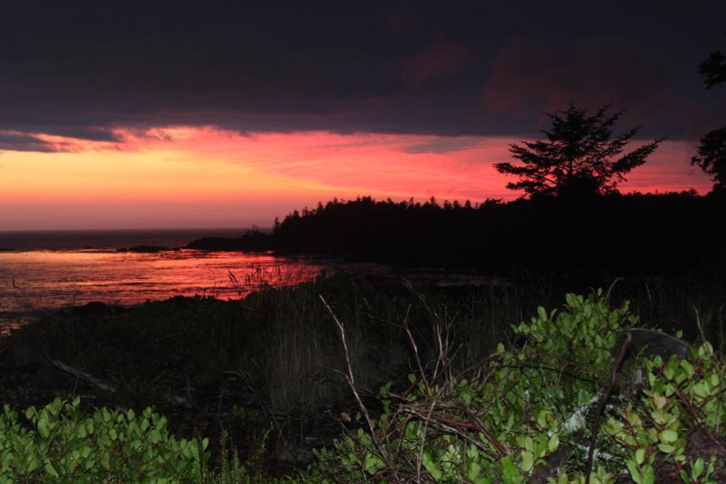 Cygnet Cove Suites Ucluelet Eksteriør billede