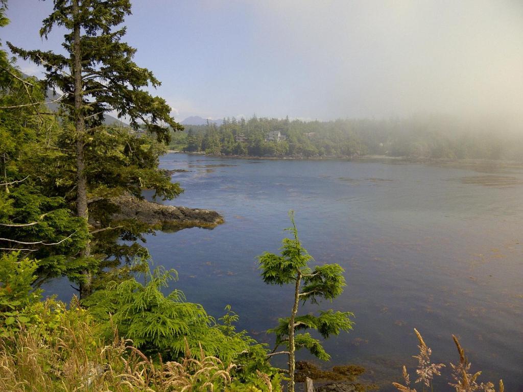 Cygnet Cove Suites Ucluelet Eksteriør billede