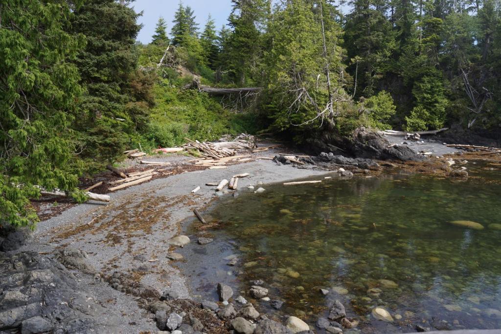 Cygnet Cove Suites Ucluelet Eksteriør billede