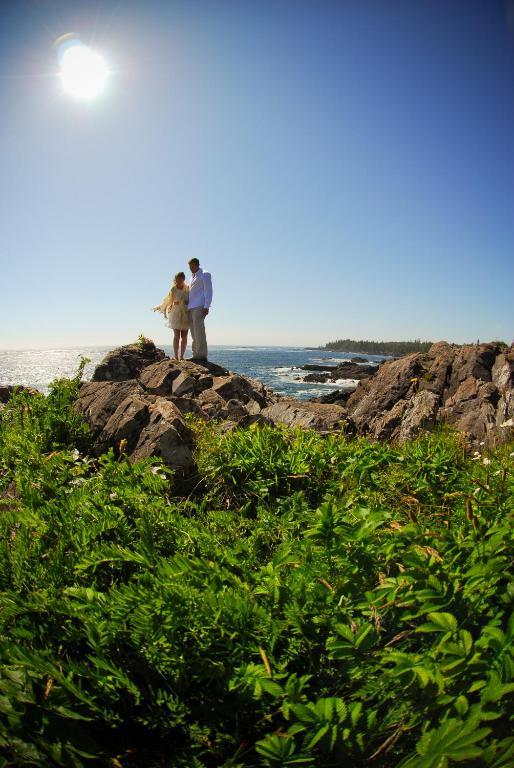 Cygnet Cove Suites Ucluelet Eksteriør billede