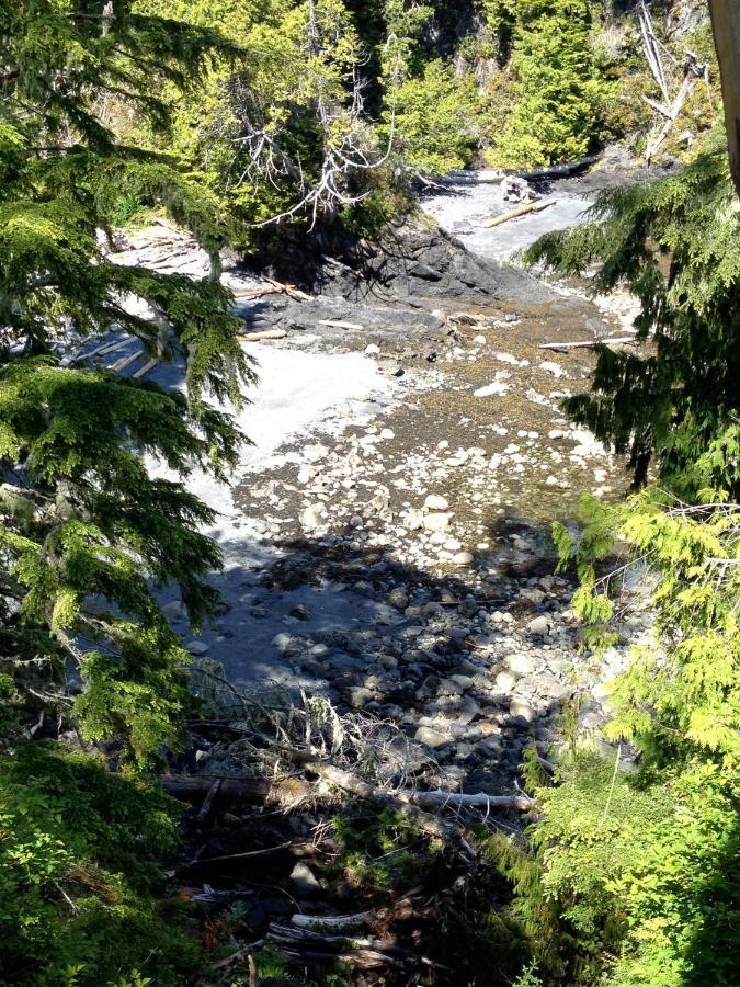 Cygnet Cove Suites Ucluelet Værelse billede