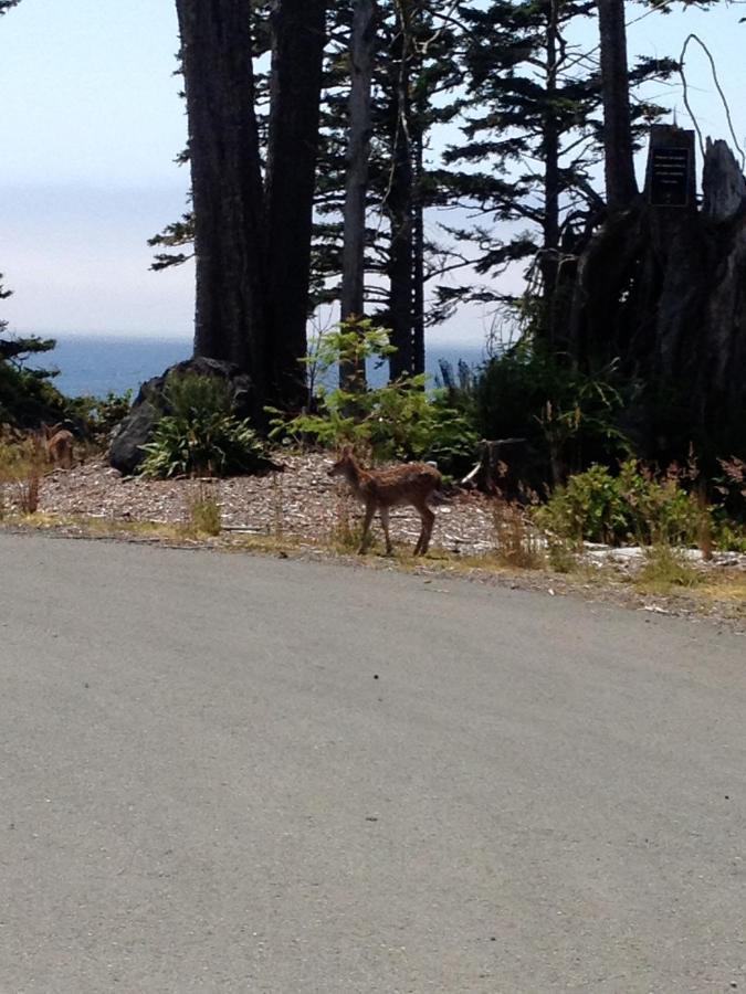 Cygnet Cove Suites Ucluelet Værelse billede